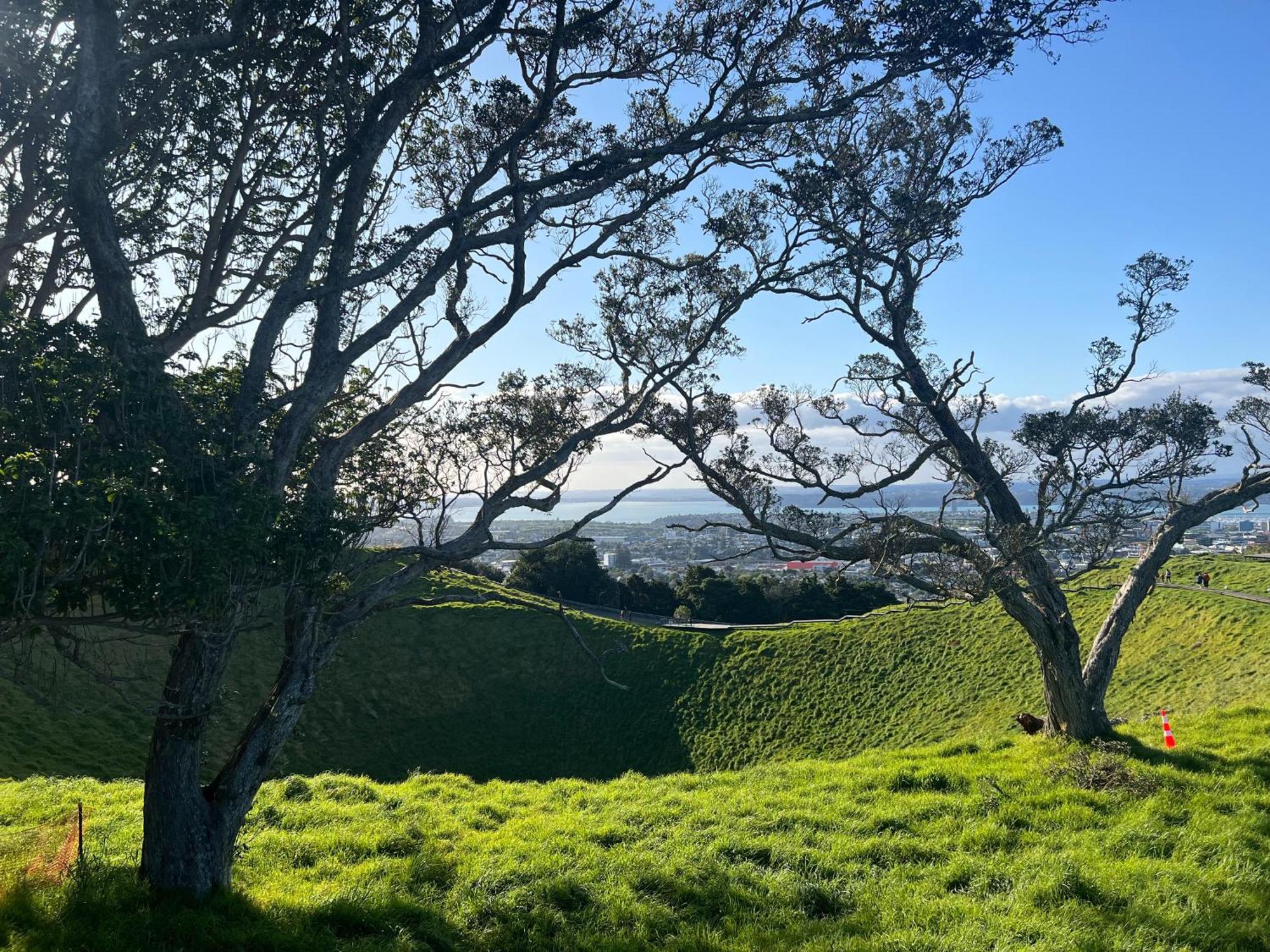 Luxurious & Spacious Living With Breathtaking Views Auckland Exteriör bild